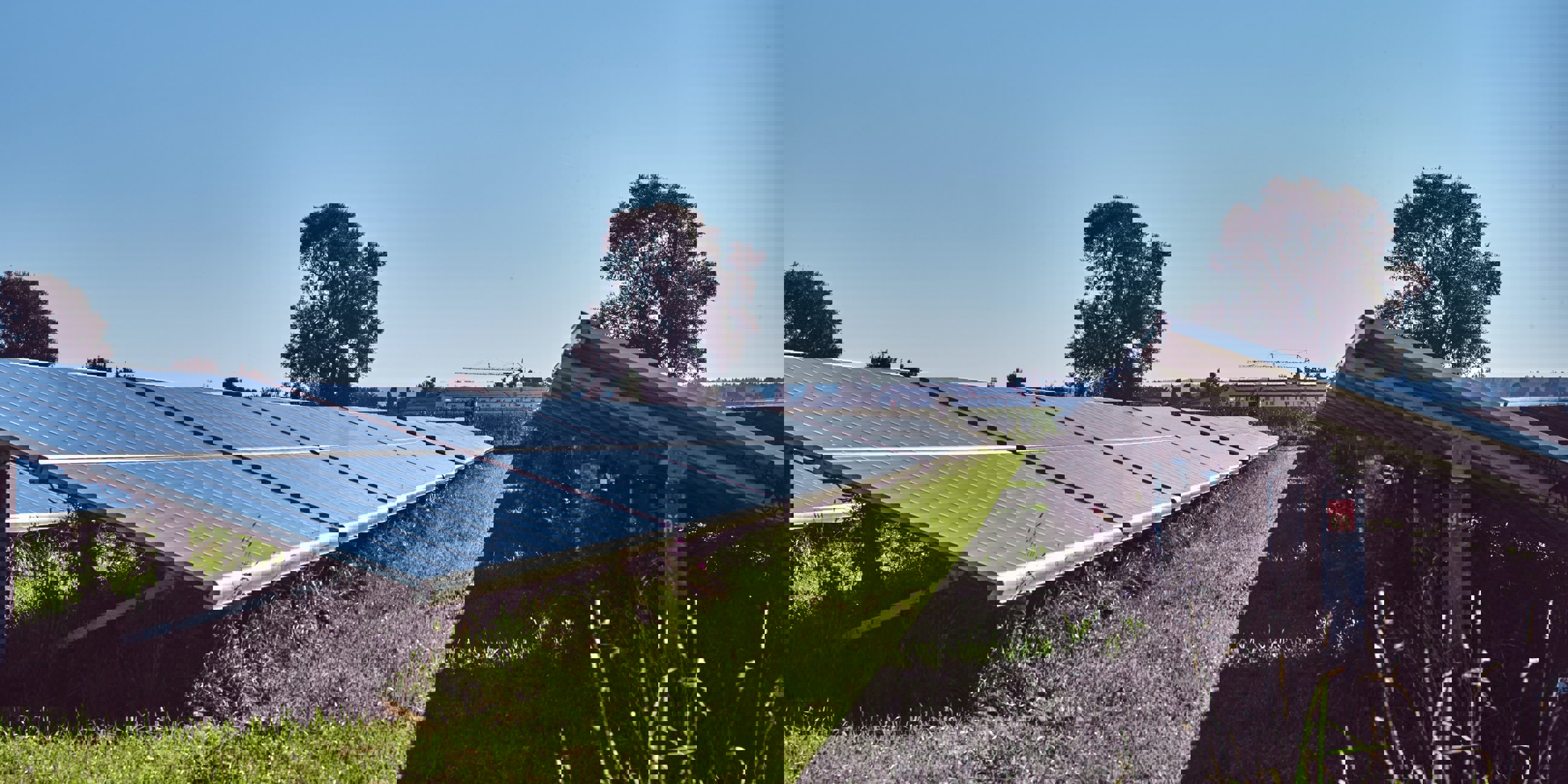 Solceller på en mark 