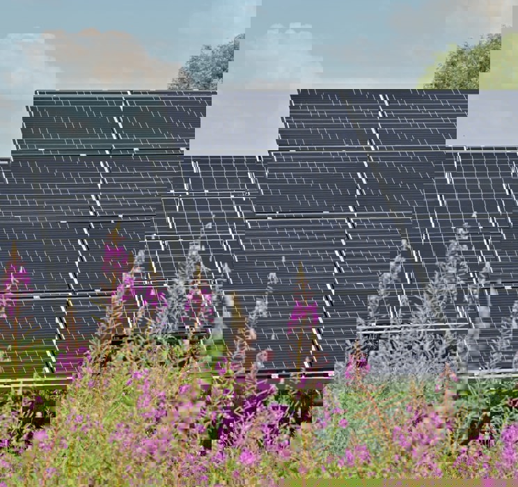 solceller med blomster i forgrunden